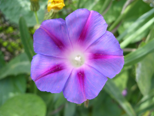 426688 (a): :1600x1200